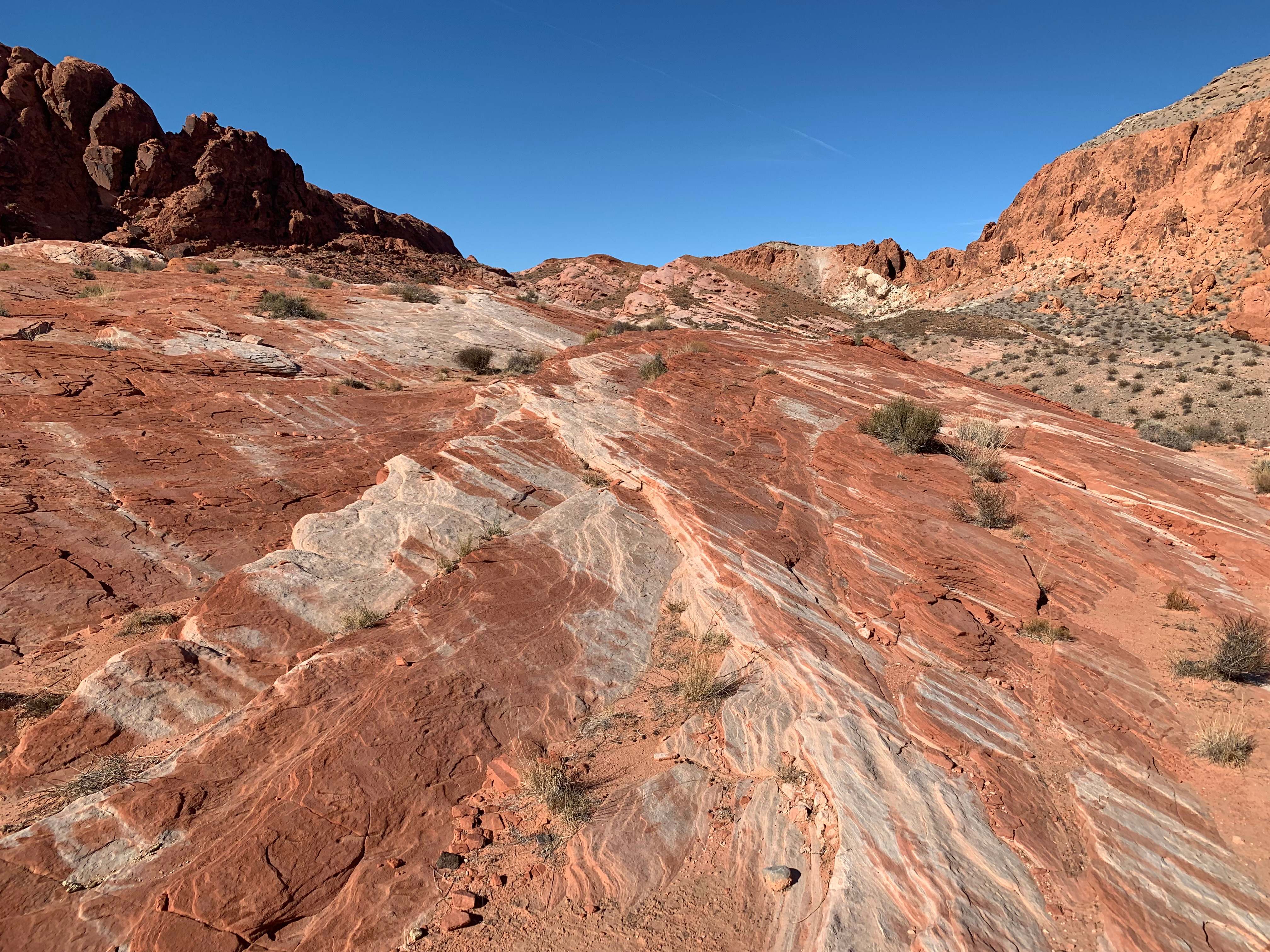 Nevada